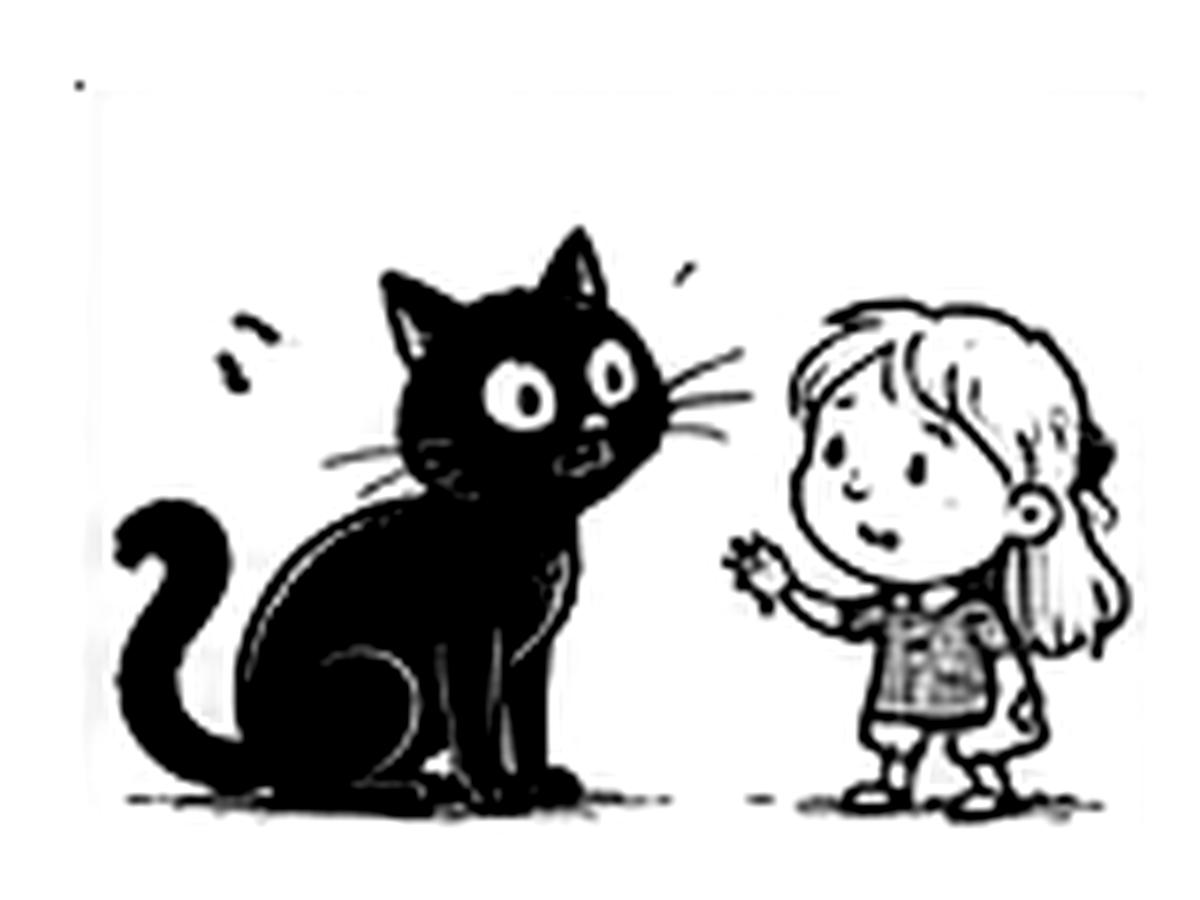 The Black Cat