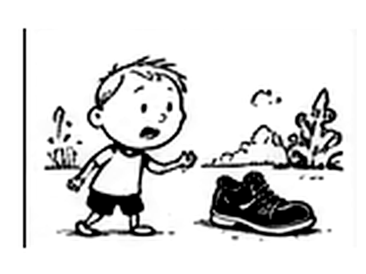The Lost Shoe