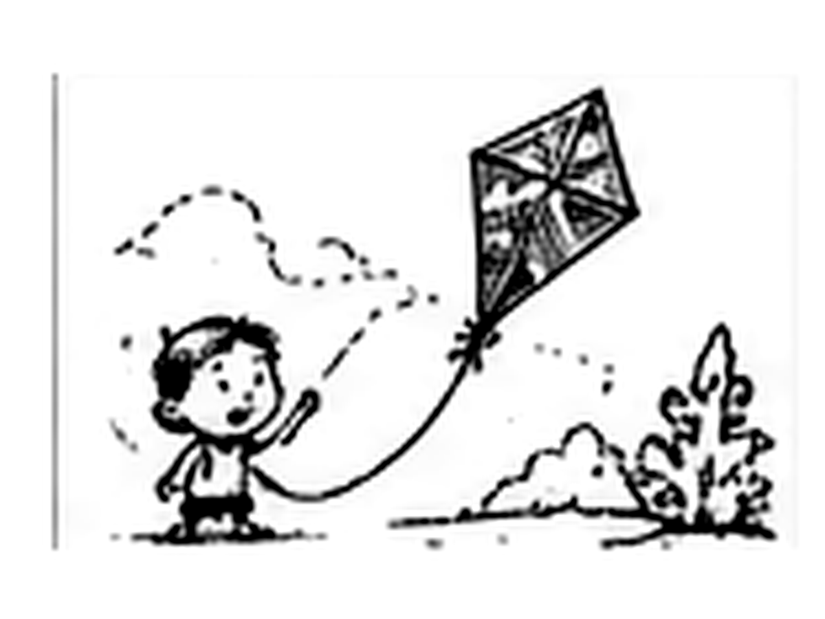 The Kite